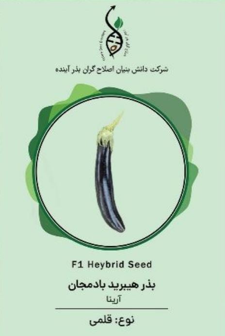 بادمجان آرینا