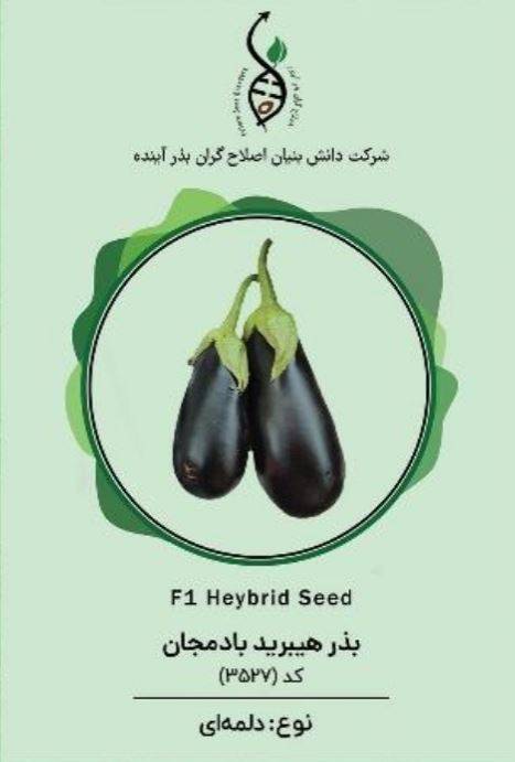 بادمجان ملورین