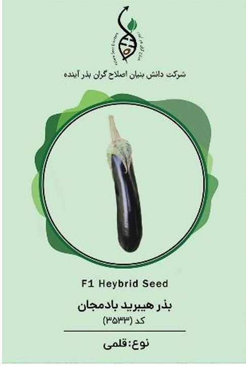 بادمجان مشکین