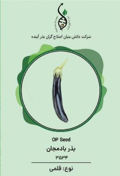 بادمجان طبس